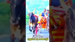 viraivil karuppu kuthirai