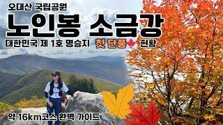 오대산 노인봉-소금강 등산코스 소개/가을 추천 산행지/소금강 단풍 현황/진고개-노인봉-소금강/약 17Km코스