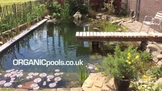 Dutch Family Flood Entire Garden - for an Organic Pool