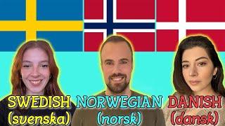 Swedish vs Norwegian vs Danish (How Similar Are They?)