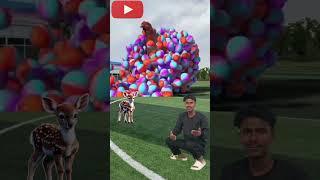 the mascot vibrato aisstant placedonthe football field is popular products new sap video viral
