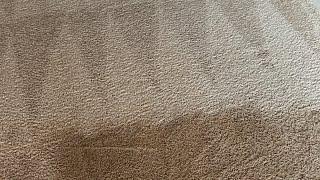 Carpet Cleaning ATL  On A Move Out Cleaning Heavily Soiled 