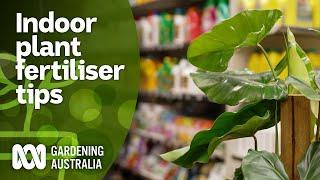 What fertiliser is best for indoor plants? | Indoor Plants | Gardening Australia