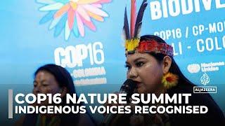 COP16 biodiversity summit signs agreement to grant Indigenous groups a permanent voice