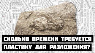 Сколько времени требуется пластику для разложения?