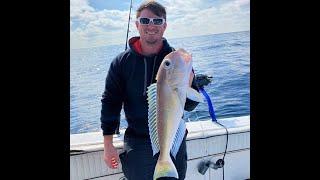 StrikeLines Tilefish Fun