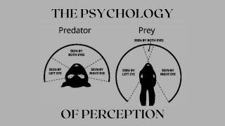 The Psychology of Perception Part 2