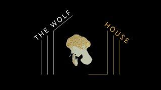 The Wolf House (2018) Retrospective