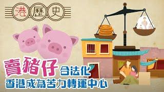 香港歷史懶人包 ►  賣豬仔 │ 港歷史第49集