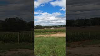 Farm destroyed after hurricane Helene #fypシ゚viral #recommended #hurricane #tennessee #farm