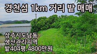 (230601)경천섬공원 1km 거리 밭 매매. 면적404평 매매가4,800만원/경북 상주시 도남동