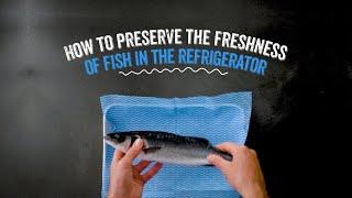 How to preserve the freshness of fish in the refrigerator?