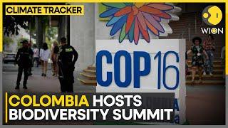 Colombia: Two-week COP 16 Biodiversity Summit Kicks Off | WION Climate Tracker | World News | WION