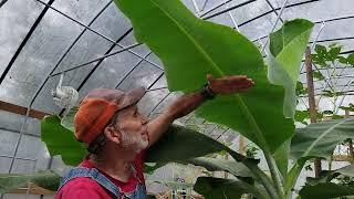 After the Storm - Hurricane Francine