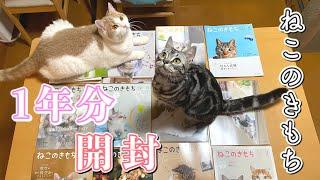 【開封動画】ねこのきもち1年分開封するぞー！【猫と夫婦の日常】