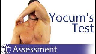 Yocum's Test | Subacromial Pain Syndrome (SAPS)