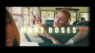 [FREE] Lil Skies Type Beat 2020 - "Many Roses" | Lxnely Beats