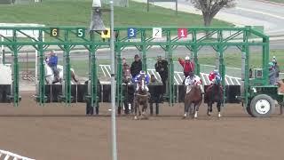 Race 2 330 Yards - Quarter Horse Maiden