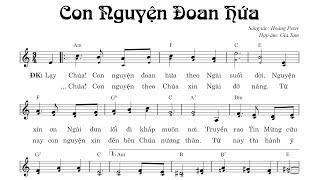 Con Nguyện Đoan Hứa | Hoàng Peter | Music PDF