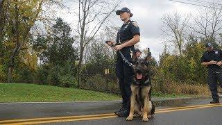 Police Dog: Training your best friend