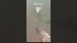 투망하다가 깜놀! 이런적은 처음이야! #shorts [화성이반장]