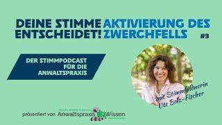 #3 Aktivierung des Zwerchfells - Deine Stimme entscheidet: Der Stimmpodcast für die Anwaltspraxis