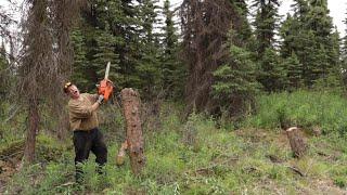 Dropping the trees for the woodshed