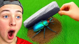 He Flipped 100 Rocks In the Rainforest... He Found this..