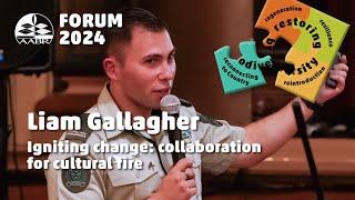 Liam Gallagher.  Igniting change: Collaboration for cultural fire