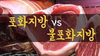 포화지방 vs 불포화지방? 지방에 관한 모든 것.