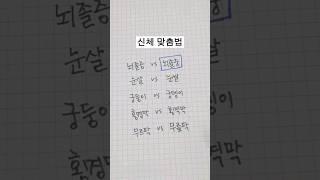 신체 맞춤법 #shorts