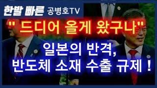 “드디어 올게 왔구나” 일본, 반도체 소재 한국 수출 규제! [공병호TV]