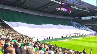 Werder Bremen. Choreo & Ducksch is on fire 