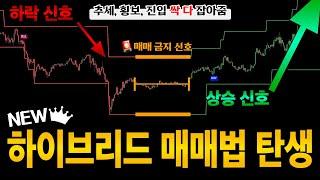 '단타의 신'  하이브리드 코인 매매법 (적중률 90%이상) 비트코인 초강세장 오기 전 꼭 마스터하세요