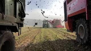 Demonstration J Riley Beet Harvesters in Norfolk