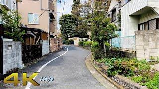 [4K] A Tokyo springtime walk around the streets of Ota-Ku, Japan. (大田区)