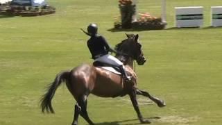 MOV063 Catherine Chew Madrid CSI 5* on Coquira 22 May 2016 Round 1 Clear and into the Jumpoff