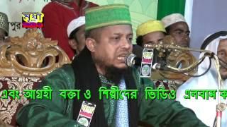 Hafez Waliullah Asheqi waz || Shane Risalat Shane Balayet || শানে রিসালাত বেলায়েত | Mridha Media waz