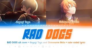 【FULL】 RAD DOGS / BAD DOGS (Aoyagi Toya and Shinonome Akito) cover / color coded lyrics