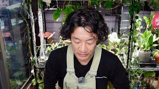 皆様本当にありがとうございました。【園芸超人カーメン君】