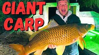 Bowfishing For Giant Invasive Carp At Night!