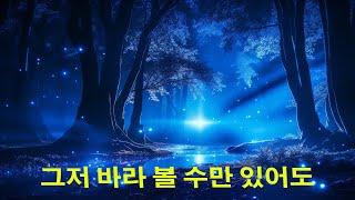 그저 바라 볼 수만 있어도/가사/LYRIC