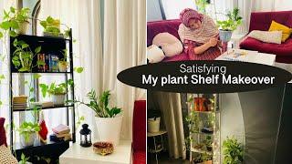 Plant Shelf Makeover| Plant shelf makeover & decor Ideas | Corner shelf Makeover