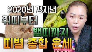 [2020년 띠별운세] - 1탄 쥐띠 소띠 호랑이띠 범띠 토끼띠 용띠 뱀띠 2020년 운세 띠별로 공개합니다