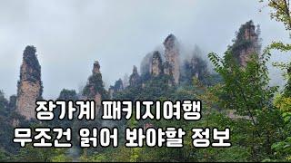 장가계 패키지여행의 모든것, 안보면 손해 #장가계여행 #장가계 #아바타