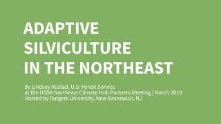 Adaptive Silviculture in the Northeast