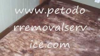 Pet odor Removal Specialist!