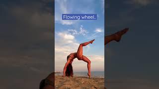 Short Yoga flow wheel variations - no props-