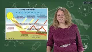 Биология - 11 класс - Современные экологические проблемы