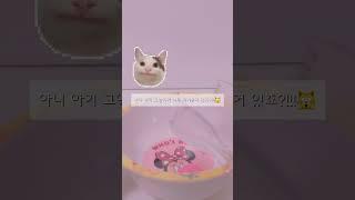 아기 고양이 입양했어요!!#인형계#떡상기원#떡상#추천#구독#좋아요#댓글